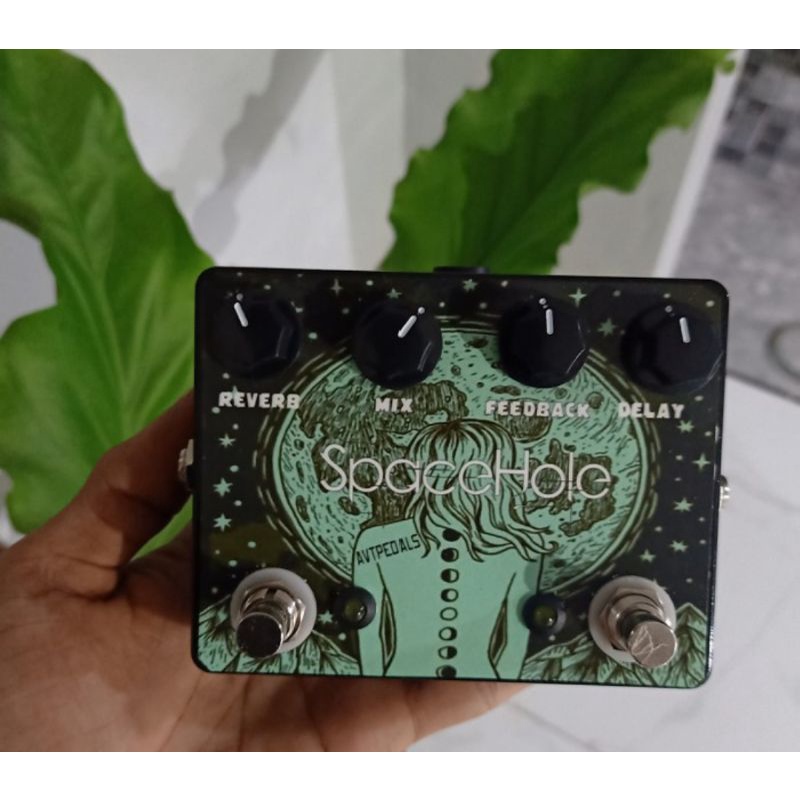 Efek Gitar Reverb Delay Spacehole Avtpedals