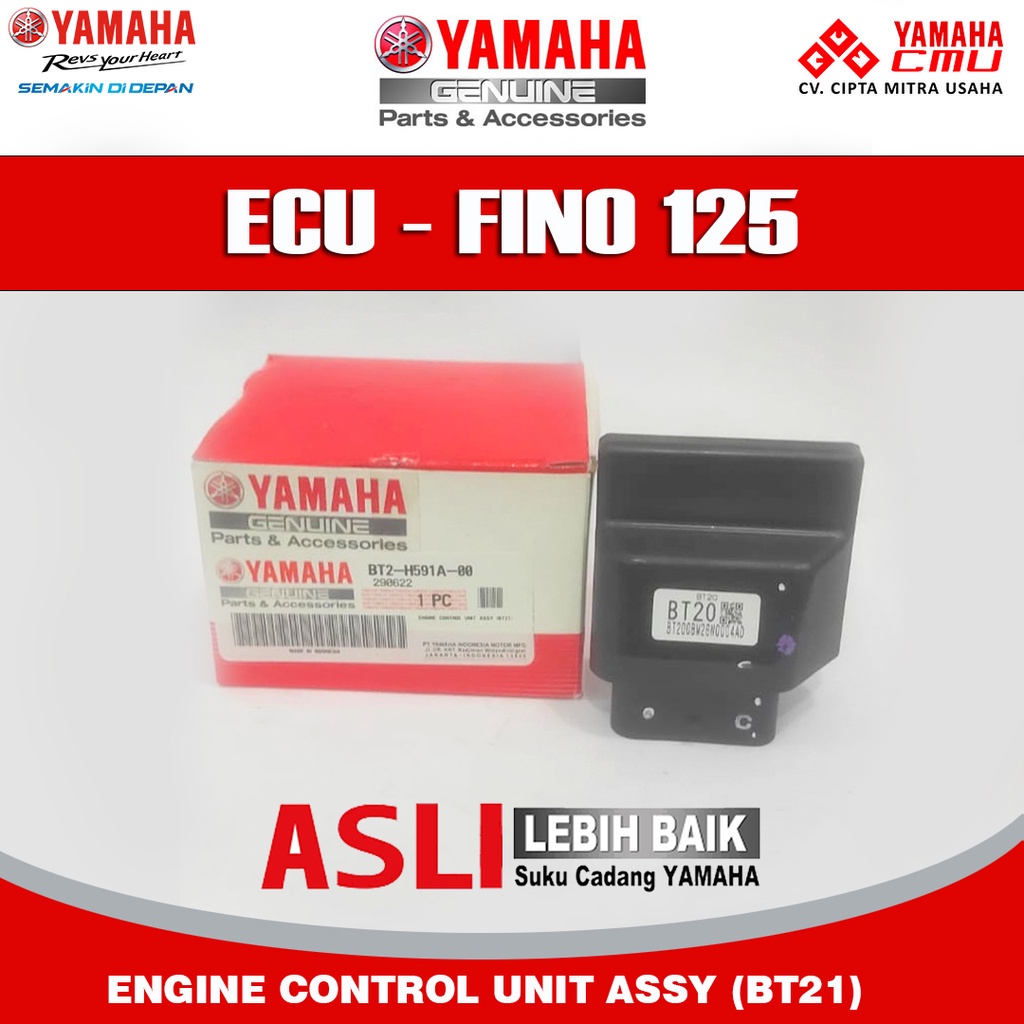 ECU - FINO 125