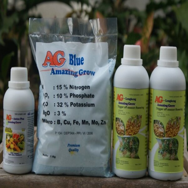 Lengkeng Booster Amazing Grow Paket 1 Pupuk Buah Kelengkeng 8-10 Tahun
