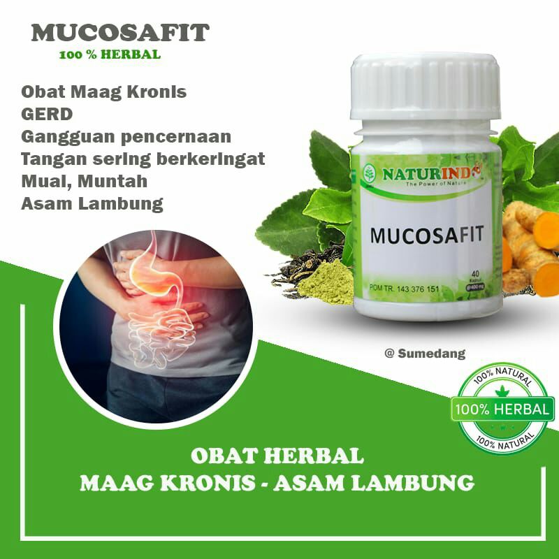 MUCOSAFIT obat herbal asam lambung kronis ampuh mengobati maag maagh gerd anxiety nyeri perut melapisi dinding lambung mual muntah sakit perut kiri kembung begah sendawa dan pencernan isi 40 kapsul-3