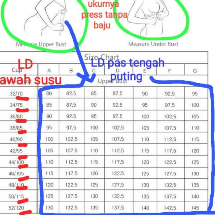 Barang Pilihan.. BRA EURO BH JUMBO CUP D E F G SIZE 36 38 40 42 44 46 48 50 52 54