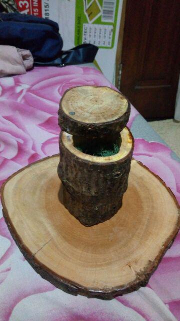 Kotak Cincin Ring Box Rustic Ranting Kayu Branch Wood