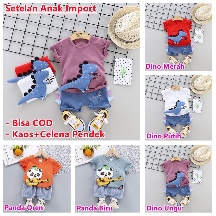 Setelan Kaos Anak Laki-Laki+Celana Pendek Motif 3D Dino/Panda