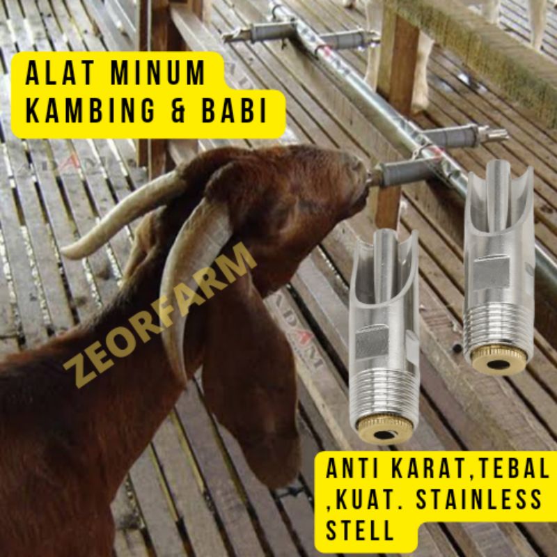 alat minum kambing domba babi anti karat bahan stainless steel