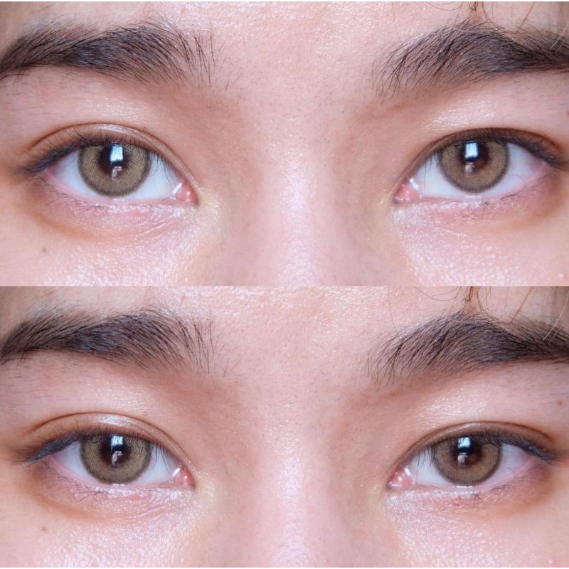 Softlens Samui (Brown)