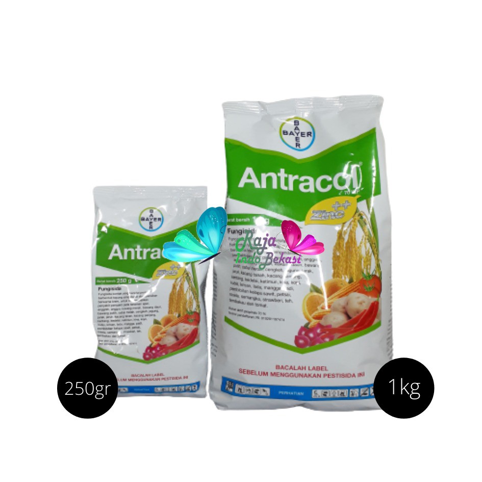 Ori Fungisida Antracol 70 Wp 1 Kg Obat Tanaman Jamur Untuk Anggrek Dan Tanaman Lain Bukan Pupuk