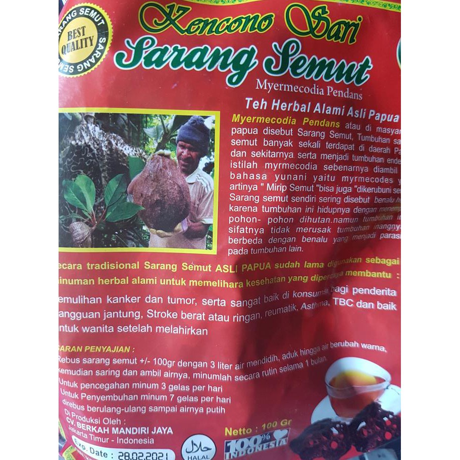 

Kencono Sari Sarang Semut Asli Papua dapat melancarkan peredaran darah