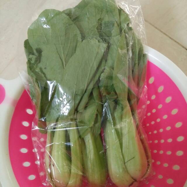 

Pakcoy Fresh 250 Gram sd.1 Kg (G.8)
