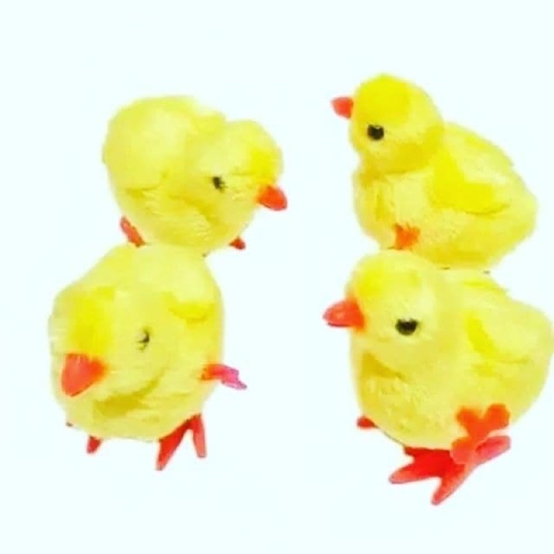 Mainan Lucu Anak Ayam Kuning - Mainan Murah , Ayamnya bisa berjalan