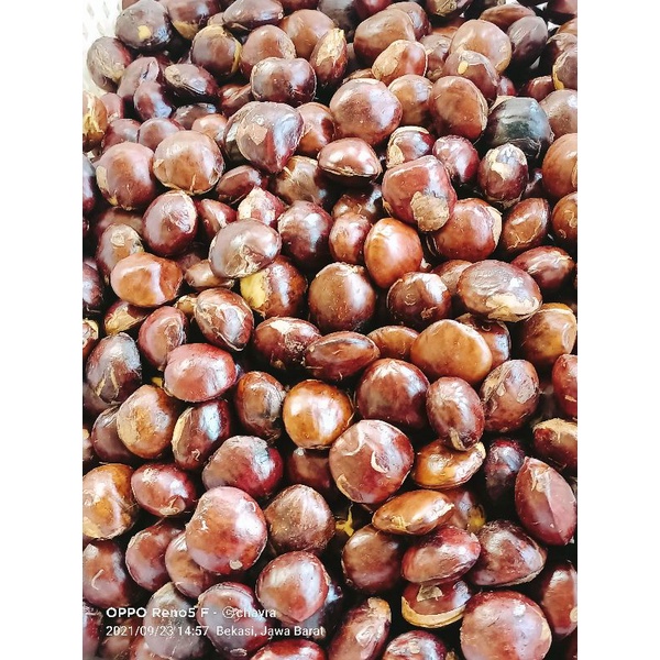 

chayra Snack jengkol tua 1kg