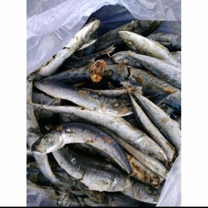 

IKAN ASIN LAMPUNG 100gr