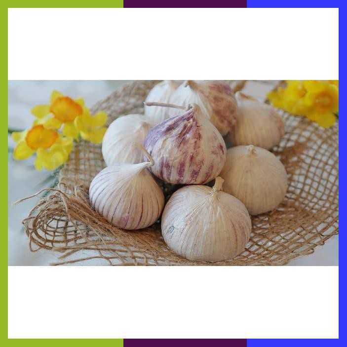 

Bawang Putih Tunggal Lanang Kualitas Premium 250Gram