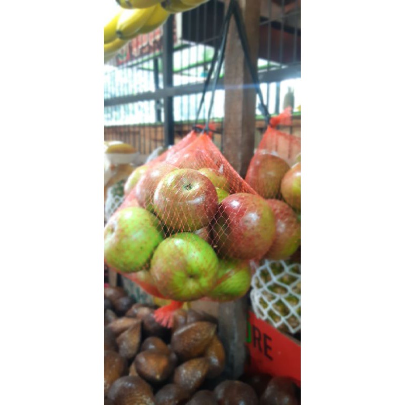 

apel malang fresh