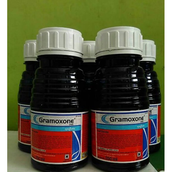 TERLARIS - HERBISIDA (PEMBASMI RUMPUT LIAR) PAVING BLOK GRAMOXONE 250ML