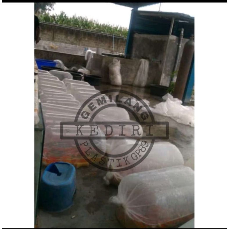 PLASTIK PE ORI/PACKING IKAN