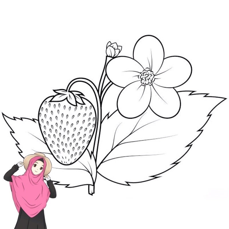 

Gambar Mewarnai Buah Stroberi & Desain untuk meningkatkan kreativitas Anak