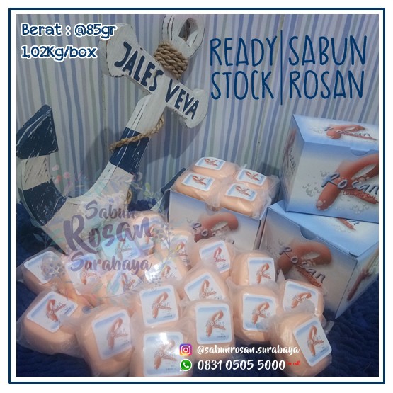 Sabun Rosan Original Sabun Penghilang Bekas Hitam Gatal Alergi Jerawat Dan Gigitan Nyamuk Shopee Indonesia