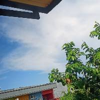 ulfarahayu013
