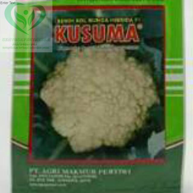 benih bunga kol KUSUMA 10gram PERTIWI