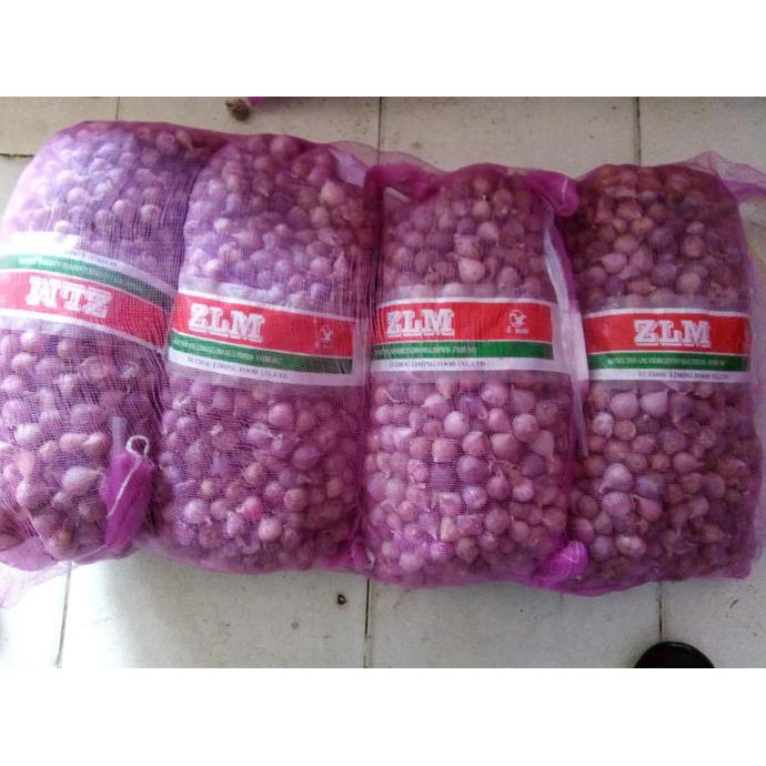 Bawang putih tunggal - bawang putih lanang ukuran kecil 1 kg