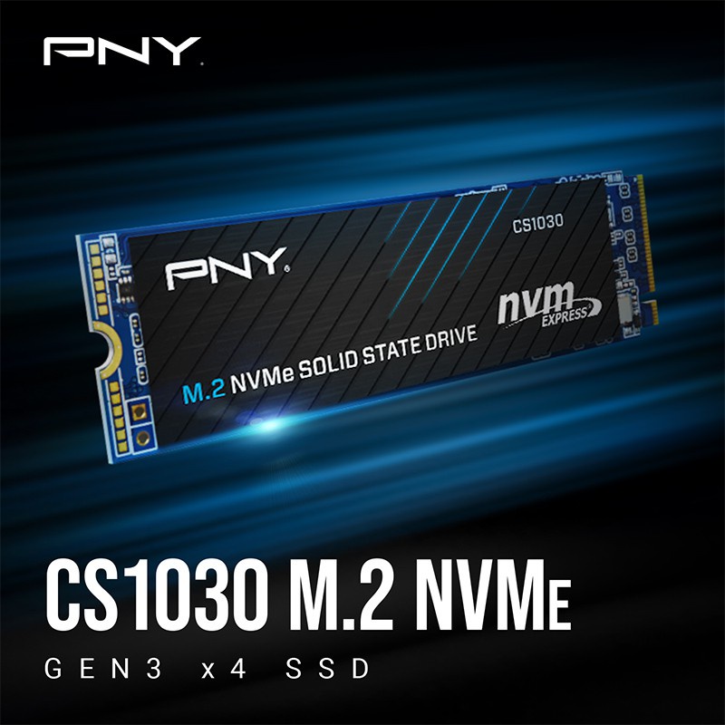 SSD PNY CS1031 256GB M.2 NVMe PCIe Gen3 x4 - Nampol Gan