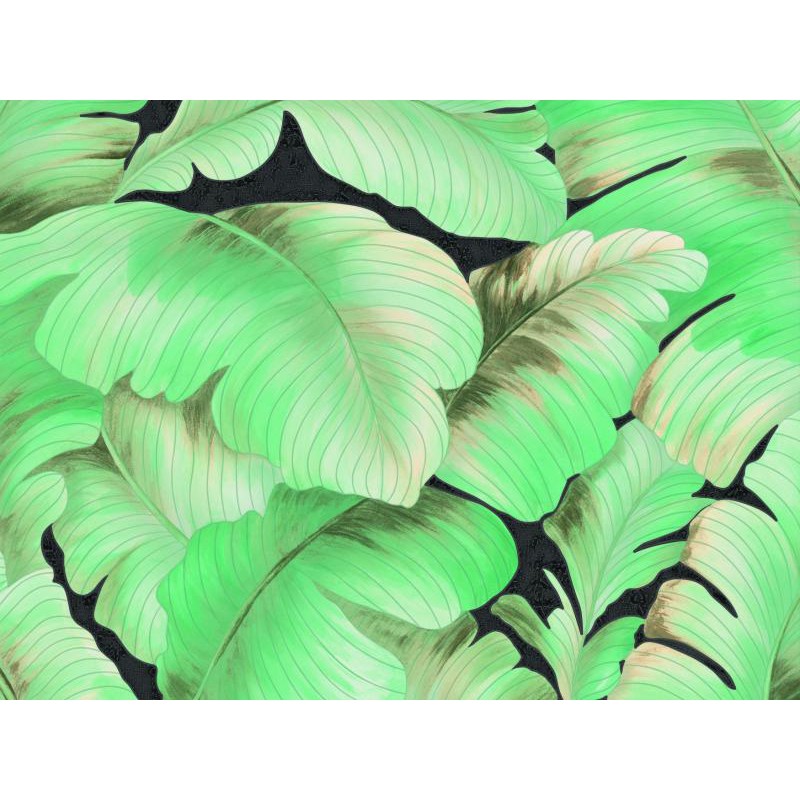 Wallpaper Dinding Motif Daun Besar 3D GIPri