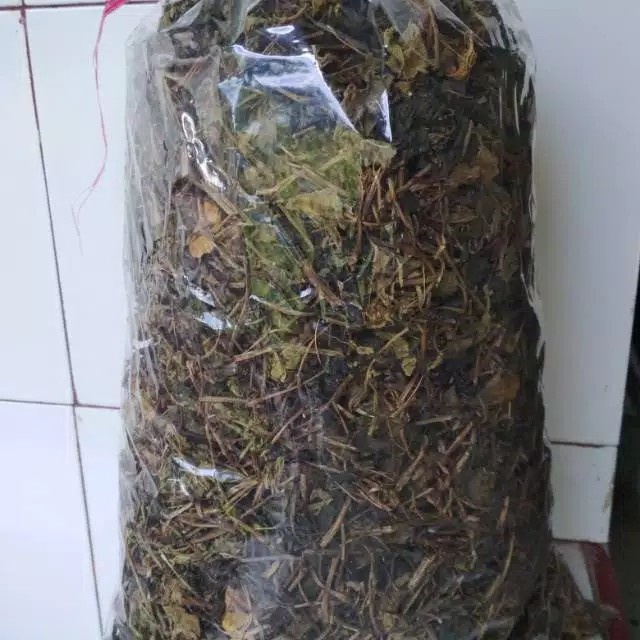 

DAUN BINAHONG KERING TERMURAH 250 GRAM