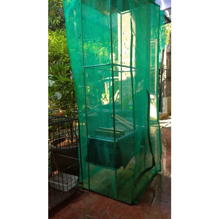 sale Magobox Maggot in The Box Olah Sampah dari Rumah - Kandang Murah