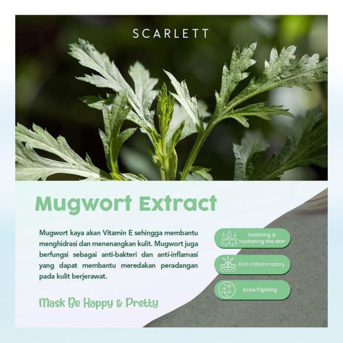 SCARLETT Whitening HERBALISM MUGWORT MASK