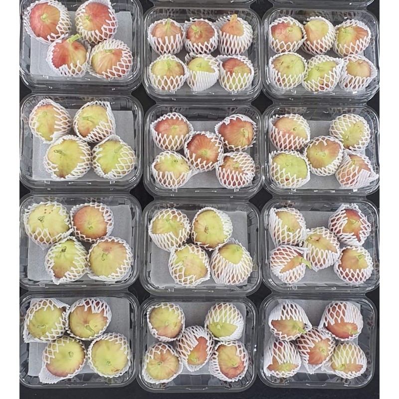 

Buah Segar Tin/Fig/Ara