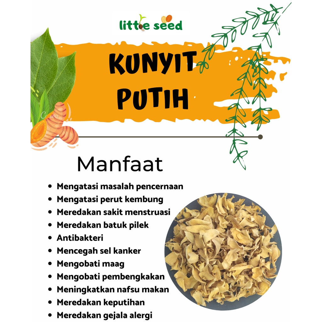 

kunyit putih kering / dried curcuma zeodoaria