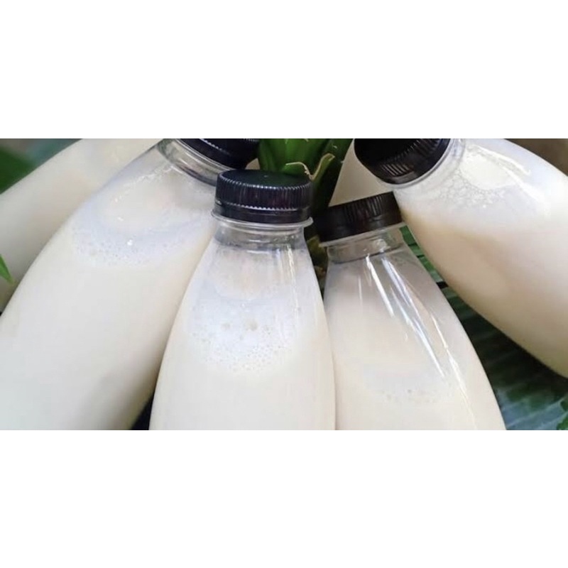 

minuman kacan kedelai fresh