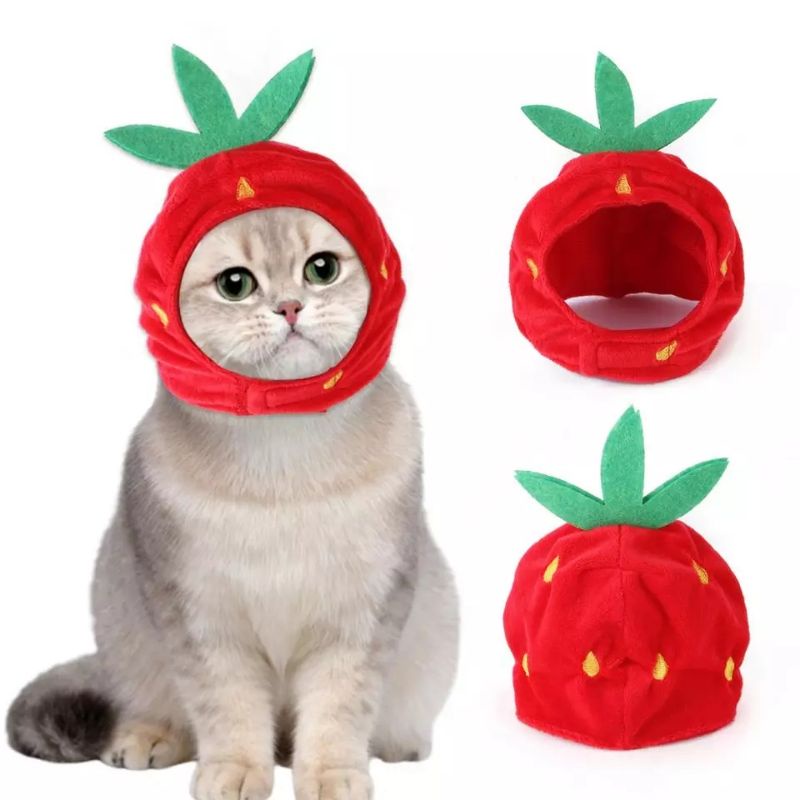 Topi kucing anjing bentuk strawberry
