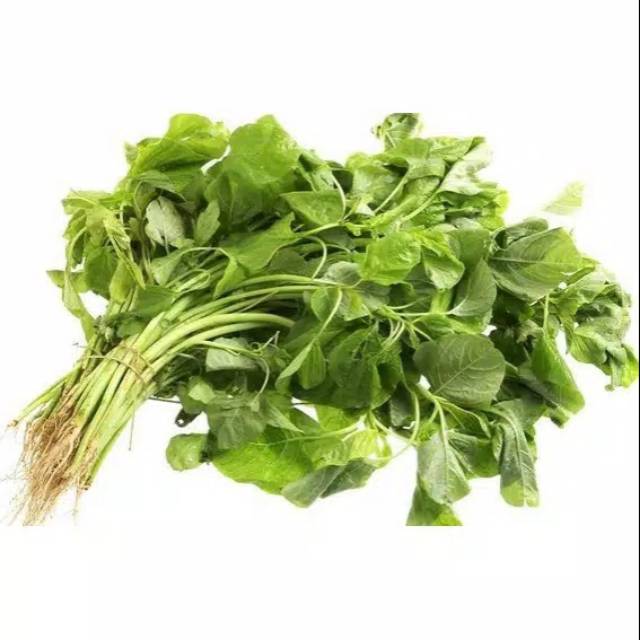 

SAYUR BAYAM AKAR / ikat