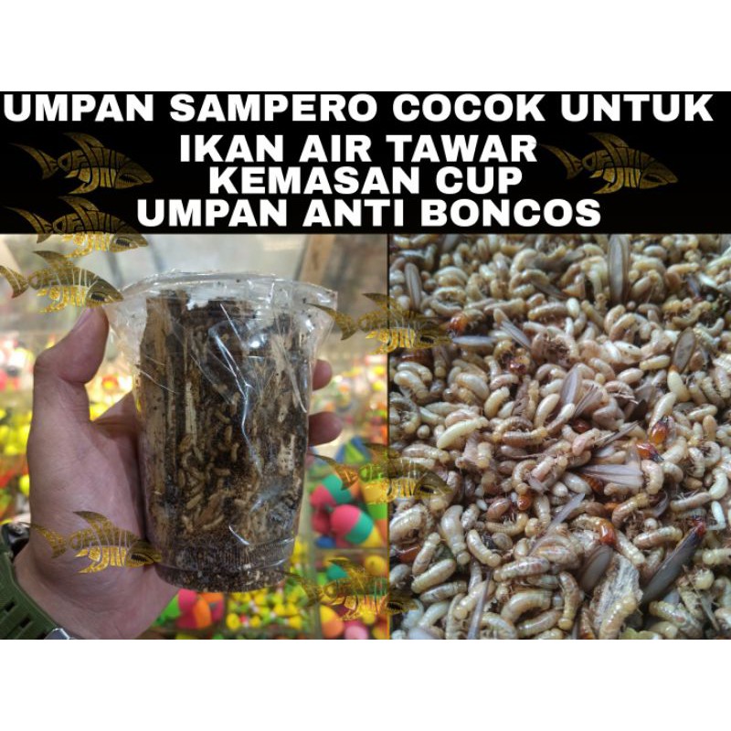 UMPAN SAMPERO (BERGARANSI)COCOK UNTUK MANCING IKAN AIR TAWAR