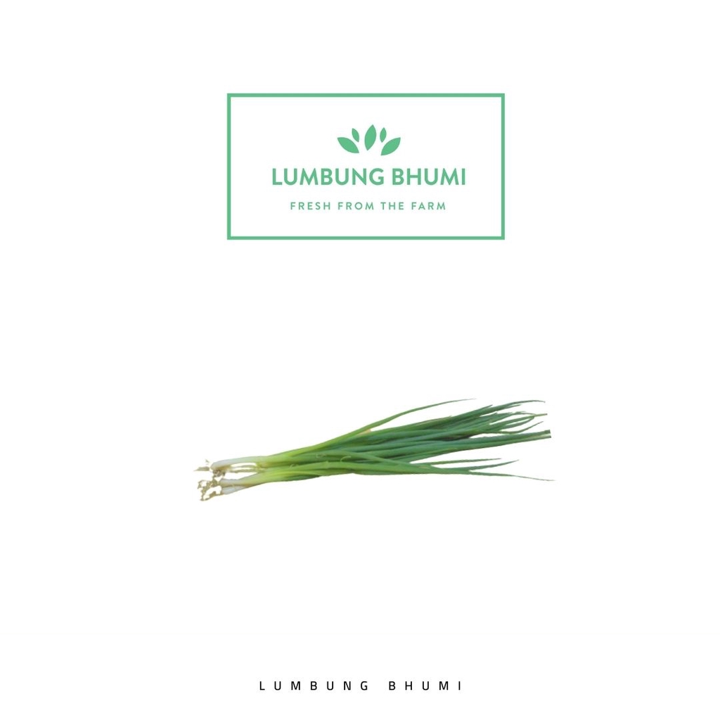 

Lumbung Bhumi - Daun Bawang Kecil 50 Gr ( Sayur Curah )