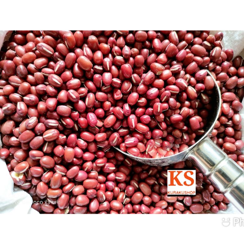 

KACANG MERAH KECIL RED BEANS 250 GR