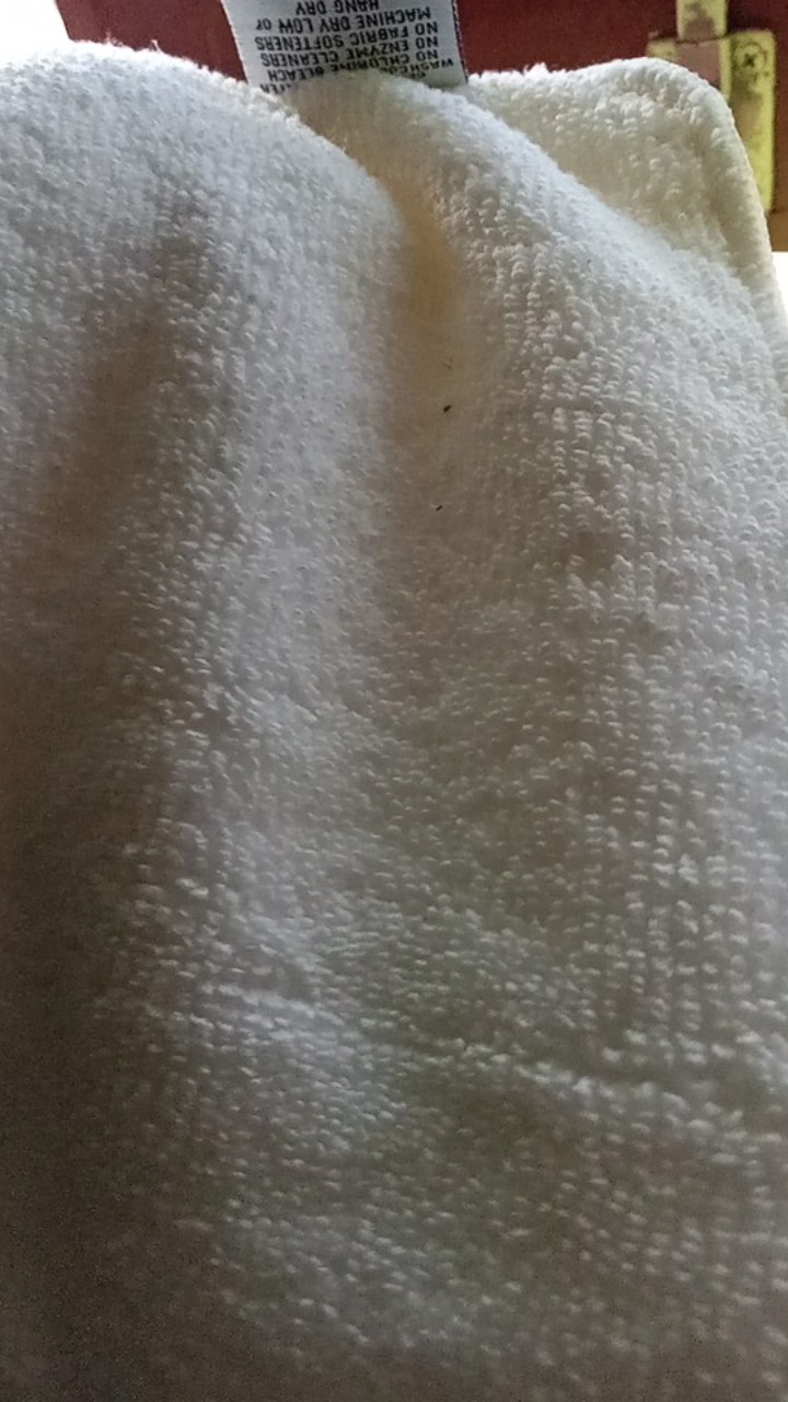 Insert Ecobum Hemp, Birdy, Bamboo Dan Microfiber