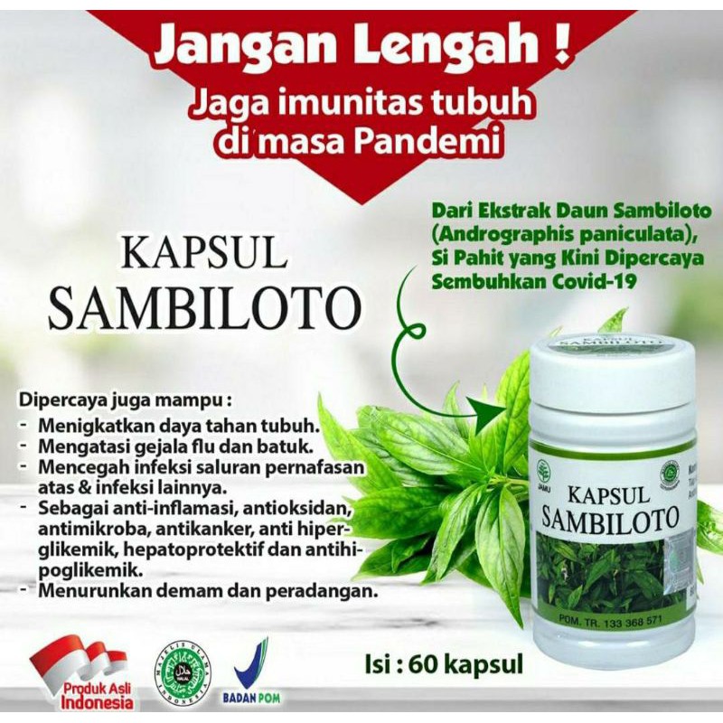 kapsul sambiloto antivirus original