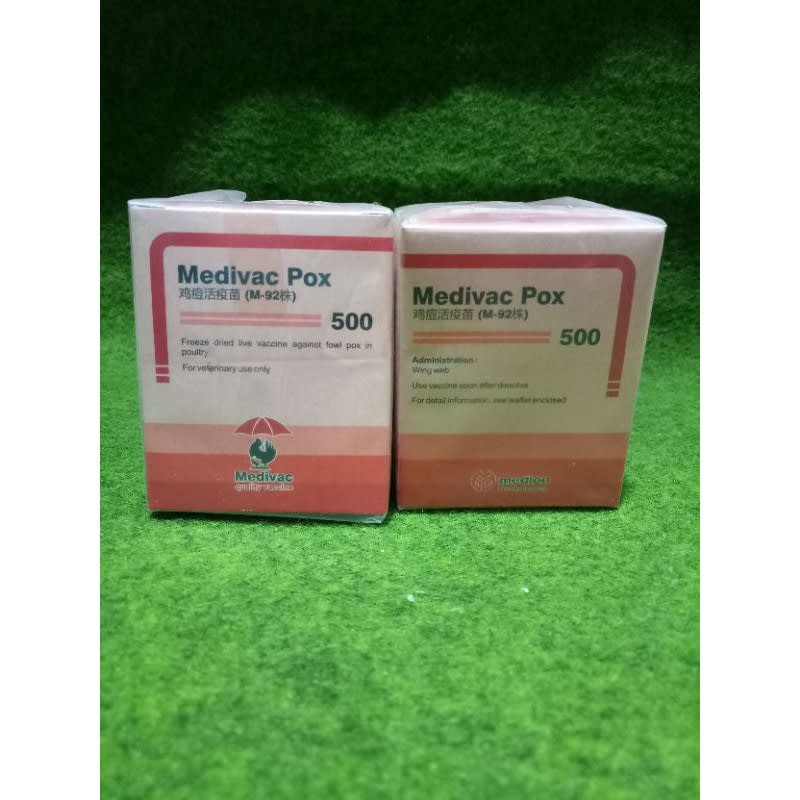 vaksin ayam / pox / mencegah ayam cacar