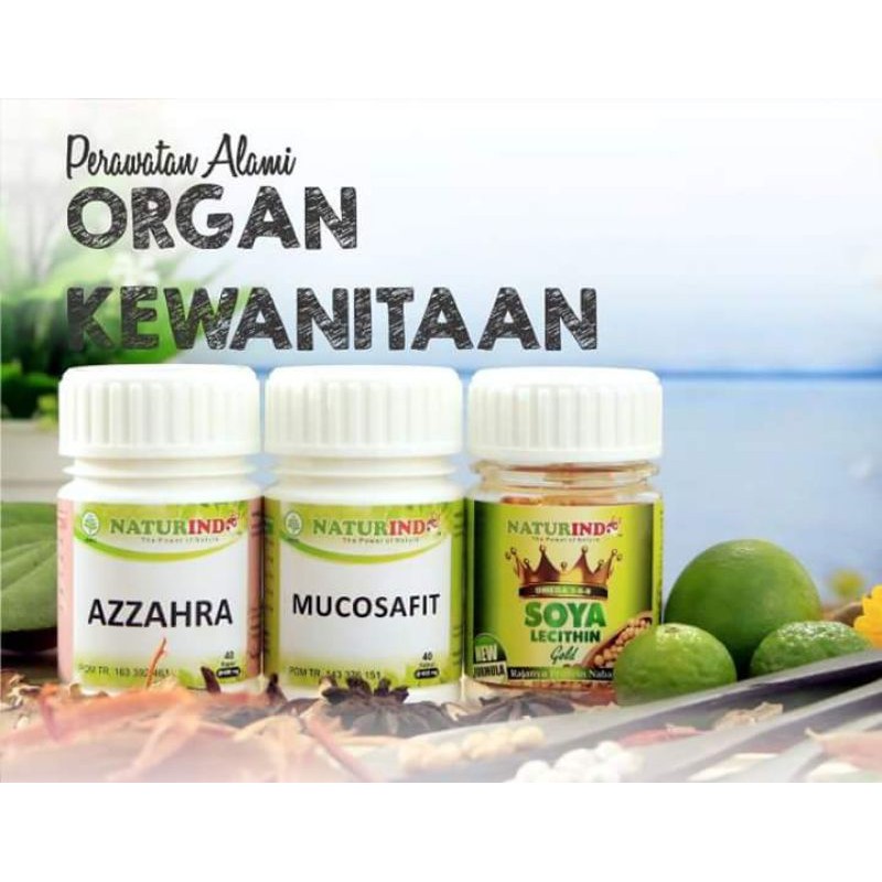 PAKET KEWANITAAN HERBAL // VITAMIN HERBAL NATURINDO 100 % ORIGINAL