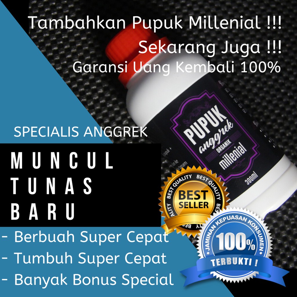 Pupuk Anggrek Cepat Berbunga, Pupuk Anggrek Terbaik, Pupuk Anggrek Organik, Pupuk Anggrek Bulan