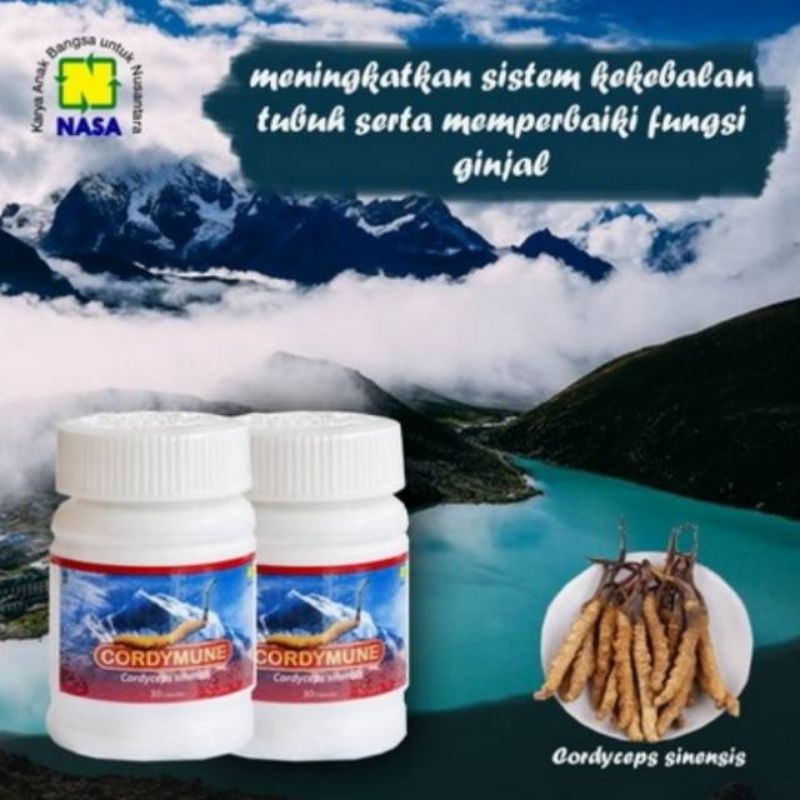 

Cordymune Nasa Herbal