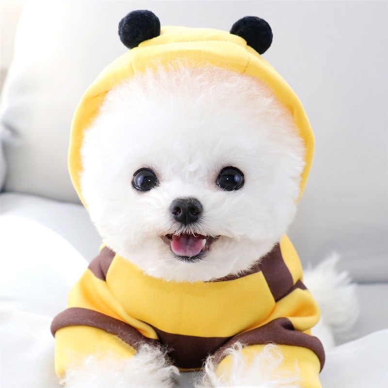 Jommibee hoodie top