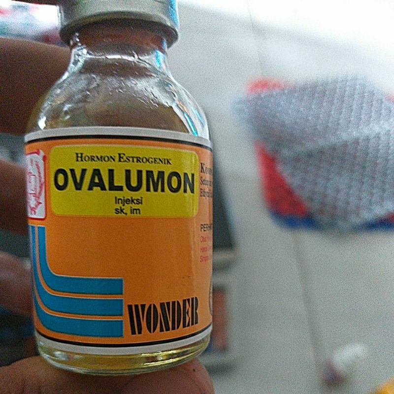 ovalumon 20 ml Hormon khusus Hewan Betina