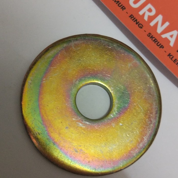 Ring Plat M10x50