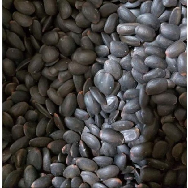 

BIJI KEDAWUNG UTUH 100GR DAWUNG KEDAUNG KEDAWUNG KERING