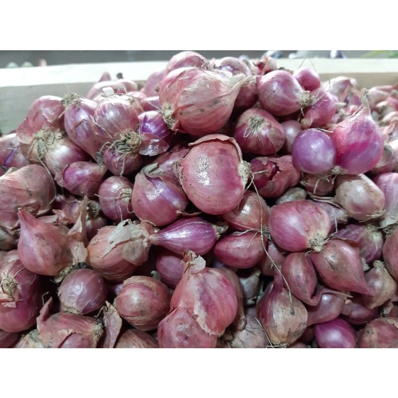 

Bawang Merah