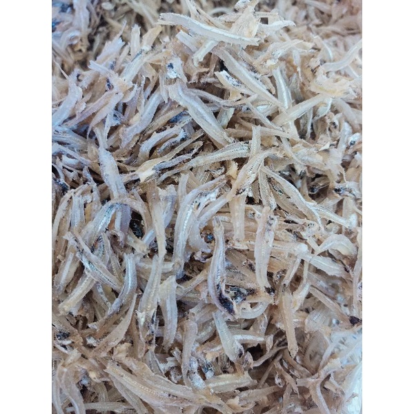 

Ikan teri/ikan bilis