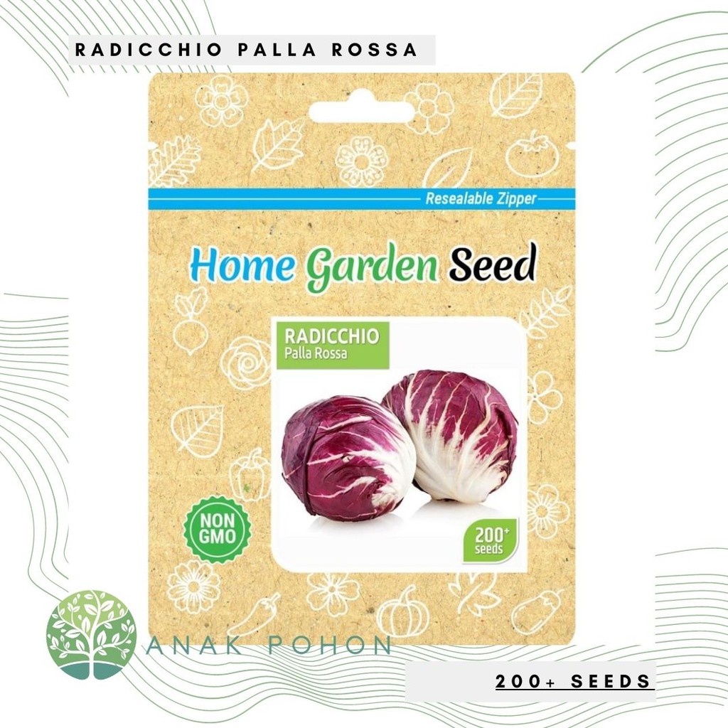 (1 PACK) Benih Radicchio Palla Rossa Seeds - Home Garden Seed HGS - 200+ SEEDS